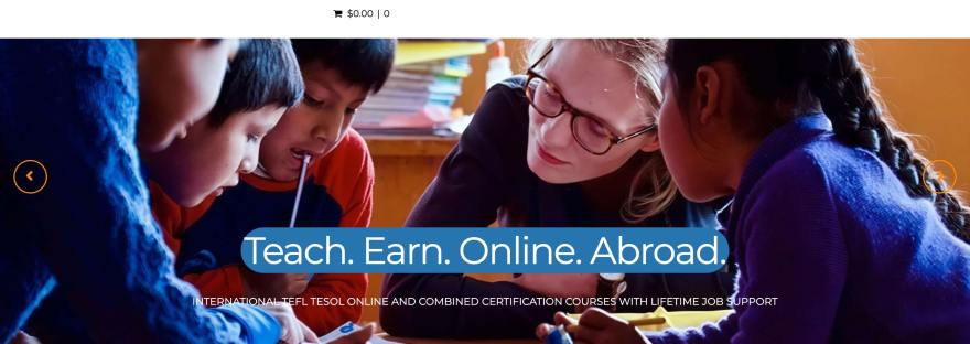 TEFL Online Pro website homepage in 2026