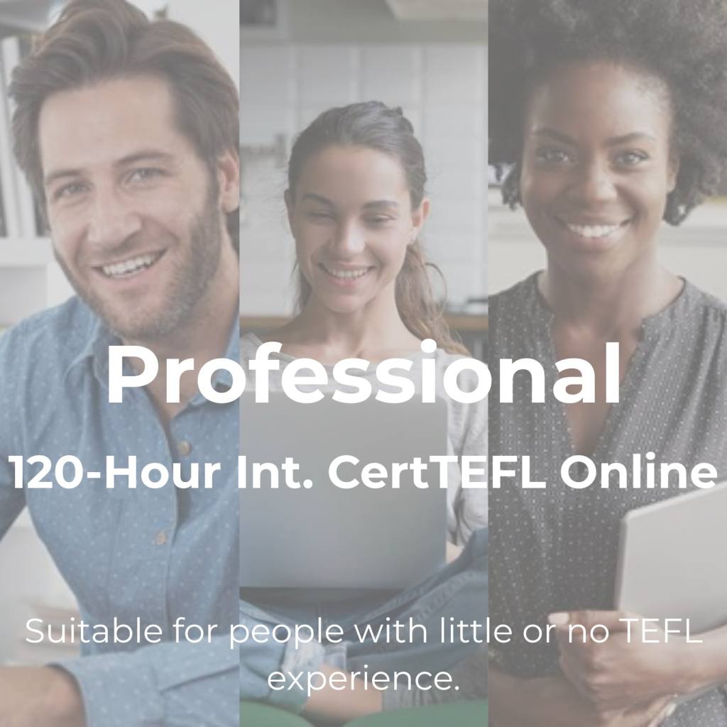 120-Hour Professional course product image from TEFL Online Pro